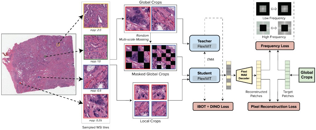 PLUTO overview figure
